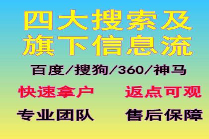 SEM专员的角色与成功案例解析