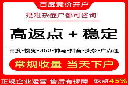 行业领先企业的SEM竞价代运营案例解析